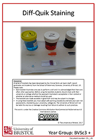 Clinical skills instruction booklet cover page, Diff-Quik Staining